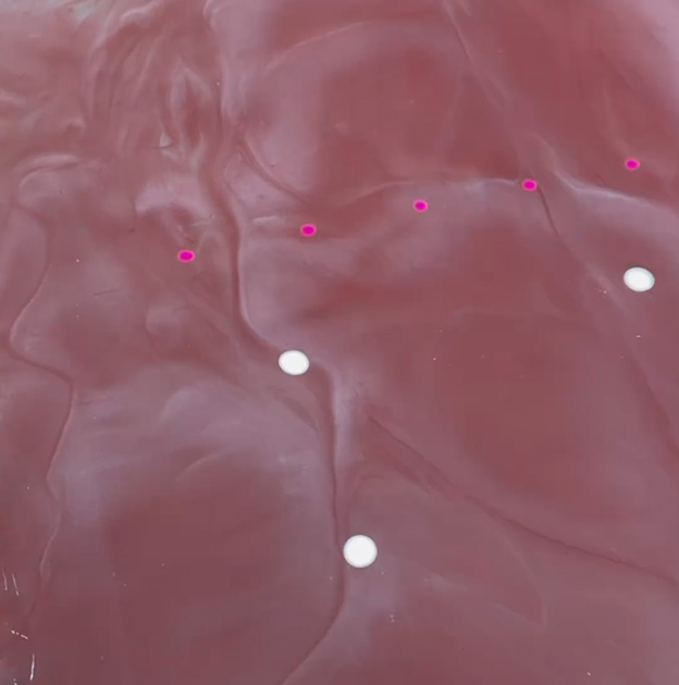 Gama Design Works in South California